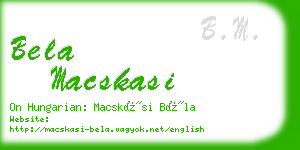 bela macskasi business card